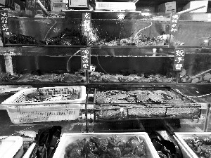 �������г��������������ŷ�ɫ��ˮƤ����з��