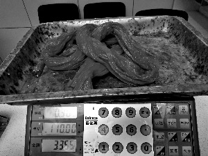 ����ׯ�����г�����һ��һ���з������ռ6����