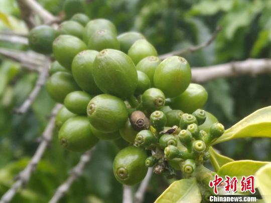 ͼΪ������忧�ȡ�������