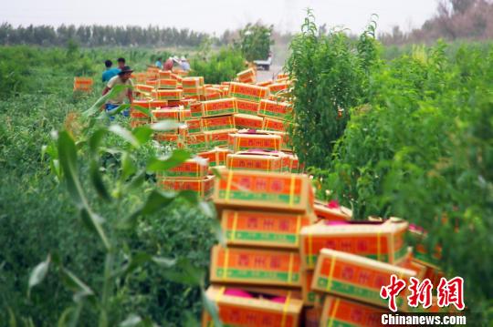 ���ع��ܹϽ�������ڣ���װ�����������ͷ�����