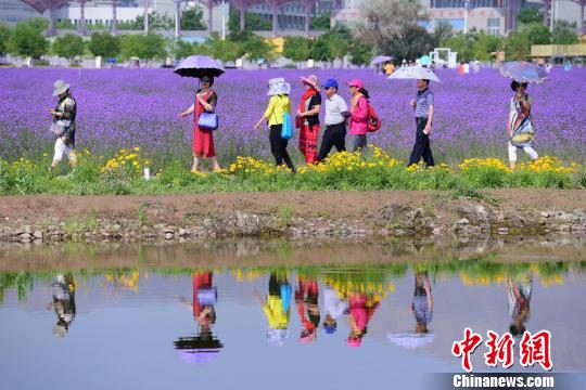 游客闻香赏花,观光旅游。王永松 游客闻香赏花,观光旅游。王永松