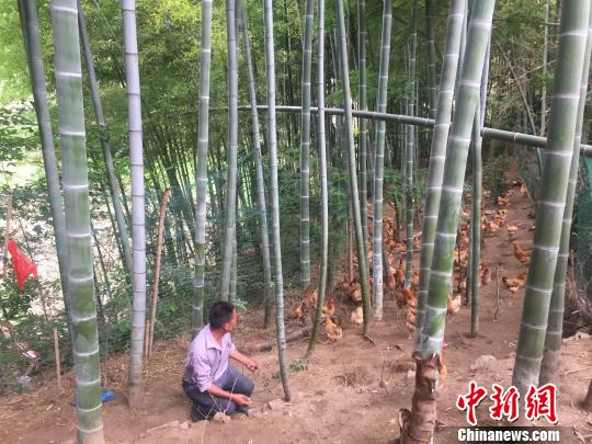 ʯҤ�������Ȩ��������ˣ������н�����ֳ������