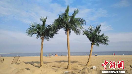 ͼΪɳ̲�ϵľ�ɫ���ŷ�