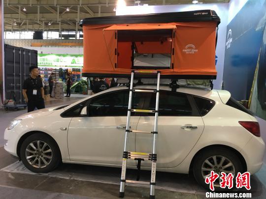 ���ó������������&ldquo;2017���޻���չ&rdquo;������ӱ