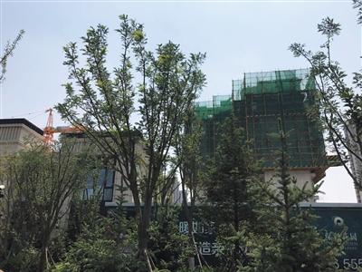 �ݱ�����԰��¥��������Ա���ܣ���Ŀ5�¿��̼۸���8400Ԫ/ƽ�����ң���װ�޺ͳ�λ���������ɽ��۸�Ҫÿƽ��1���Ԫ��