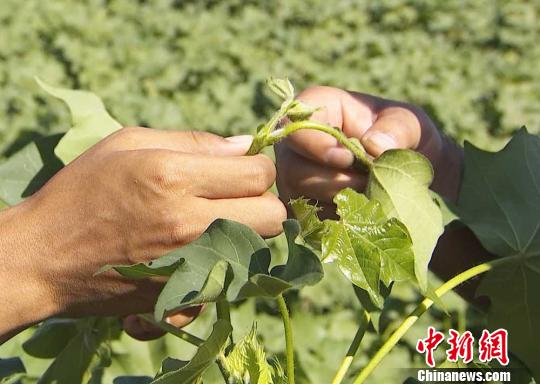 �޻��򶥾���ȥ���޻����ⲿ�֡����