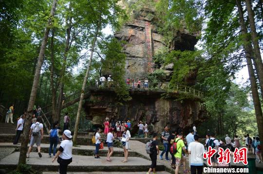 �żҽ����ɭ�ֹ�԰���������¡��˵���