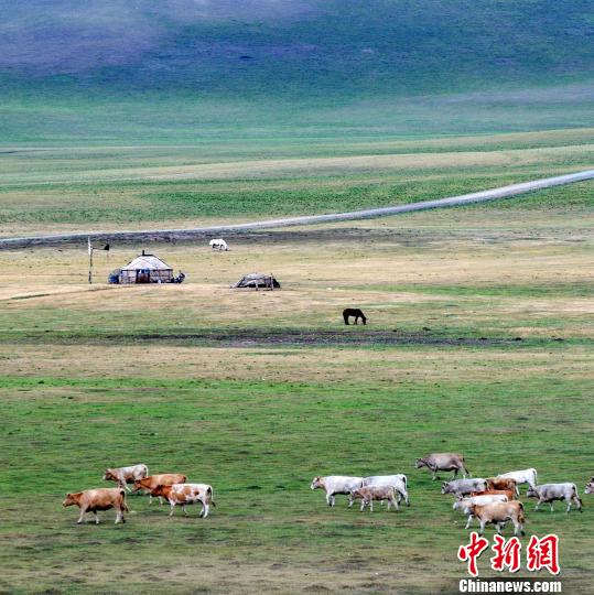 ���ֹ��ղ�ԭ��ˮ�ݷ�����ţ���׳��Ҷ��