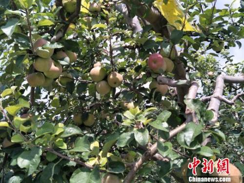 㶫ݸзӲҵƣͨзչҵӸϰͨƶ¸ͼΪ붫ݸչ۵ȶ෽ͨŴƻ