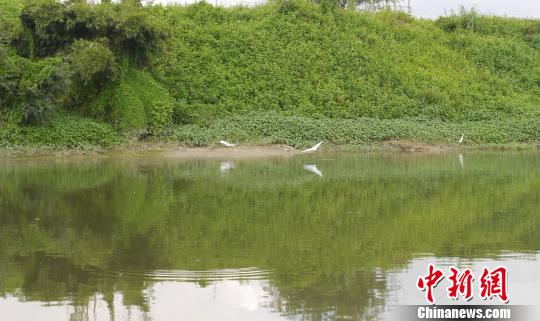 �������ߵİ�����񡣳�����