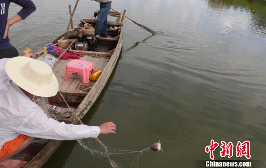 �����������������㡣������