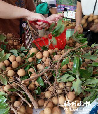 白露吃龙眼:传统习俗让商家销量大增