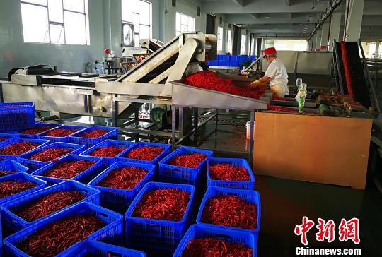 ���ܹ�˾��������ҵ����¬��ΰ