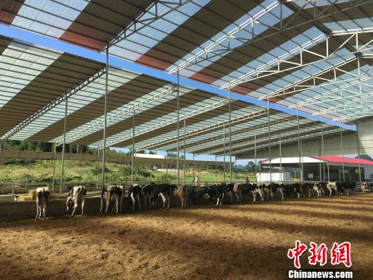 &ldquo;ǣһ�Ӷ�����&rdquo;���ൺ���ģʽ������ӳ��˲�ҵ���������˲�ҵ����ֵ��Ϊ��������������һ����ƶ�¸��¡�ͼΪ��ţ��ֳ������