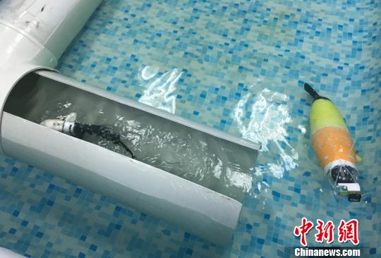 ����ͼ��ͼΪʯ��ְҵ����ѧԺʦ���з���&ldquo;������&rdquo;������