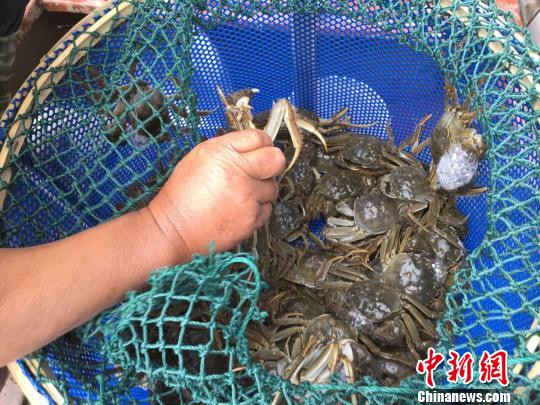 ���������κ���բз����ɺɺ