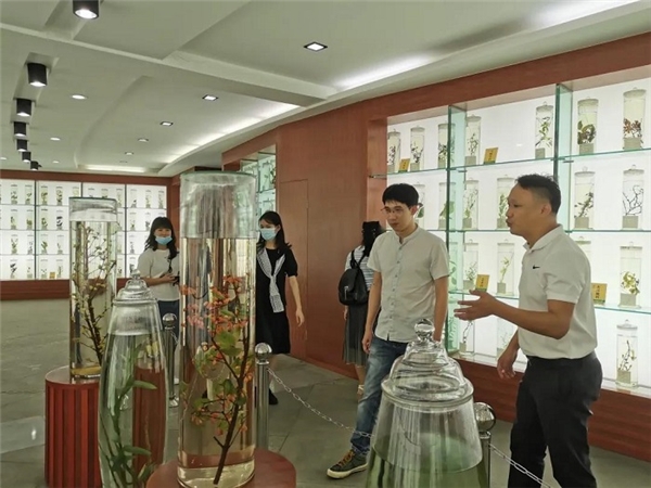 中医药文化探源|广西康全药业精英走进医圣故里仲景宛西制药