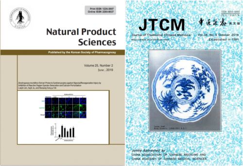 �⿵�����ִ���ȷ������֮·�ĳ�ͨ����Ҫ��