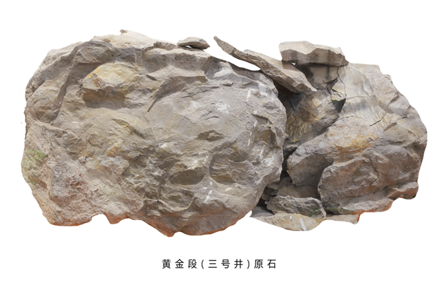 ǿ�����������ߴ�����ɰ��������������������Ļ�����