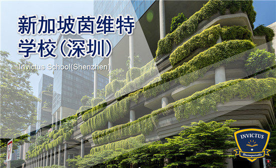 培养孩子适应与创造能力,茵维特“中新”融合课引领国际教育