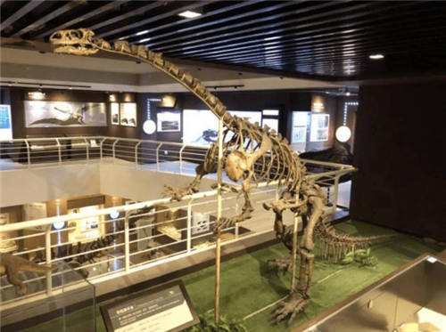 ˼��3Dɨ�輼������ԭ����»���������㴩Խ�����꣬�ط�٪�޼�