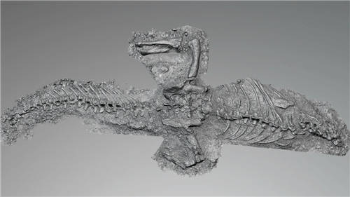 ˼��3Dɨ�輼������ԭ����»���������㴩Խ�����꣬�ط�٪�޼�