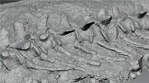 ˼��3Dɨ�輼������ԭ����»���������㴩Խ�����꣬�ط�٪�޼�