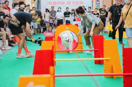 �貽�Ƽ�����������ʹ�����ʣ�ת���˳����������ۺϷ���ƽ̨