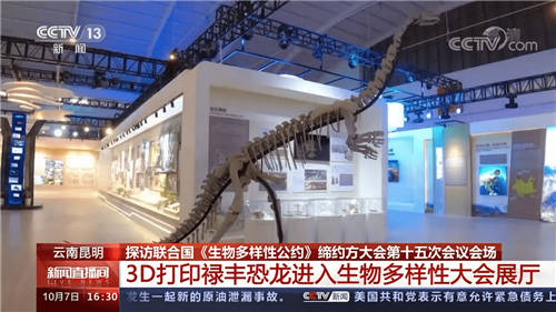 ˼��3Dɨ�輼������ԭ����»���������㴩Խ�����꣬�ط�٪�޼�