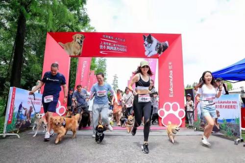 �貽�Ƽ�����������ʹ�����ʣ�ת���˳����������ۺϷ���ƽ̨