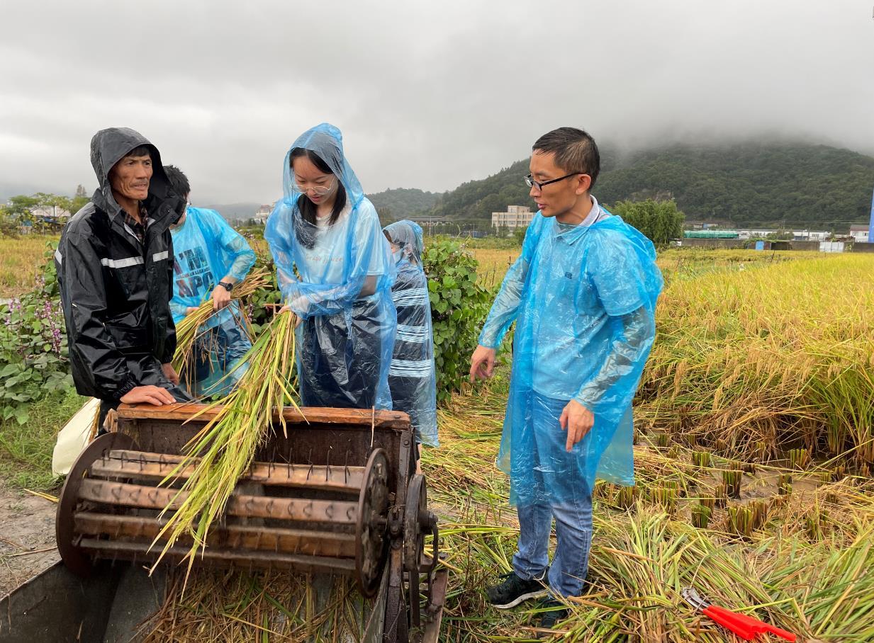 宁波:把劳动教育课堂搬到田间地头
