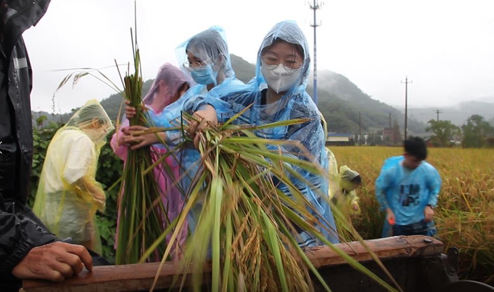 宁波:把劳动教育课堂搬到田间地头