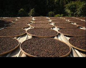  ���¾�չרע�����з� ��ѧ��չ������ҵ