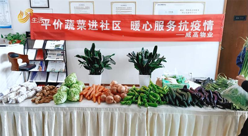 威海威高物业服务通过品质服务缔造业主幸福生活(图5) 威海威高物业服务通过品质服务缔造业主幸福生活(图5)