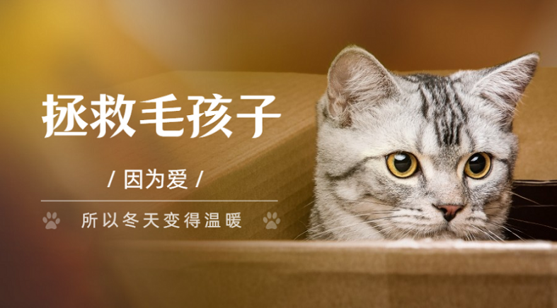 61a9e5362bf5c.png 44.png