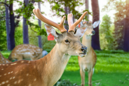 61cadcd6a5c6c.jpeg 24.jpeg