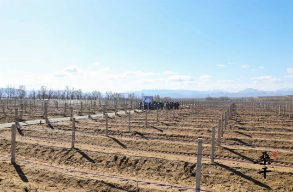  ֪�д�����������չ | 2022����ɣ�ɾ�ׯ������չ�ٽڳɹ��ٰ�