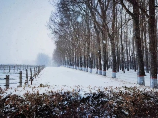  ֪�д�����������չ | 2022����ɣ�ɾ�ׯ������չ�ٽڳɹ��ٰ�