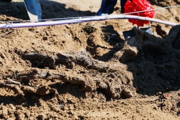  ֪�д�����������չ | 2022����ɣ�ɾ�ׯ������չ�ٽڳɹ��ٰ�