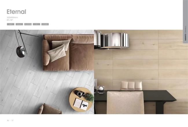 �����д�ש