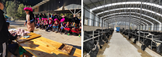 ���������������������Ƽ��������޹�˾�ܾ���������