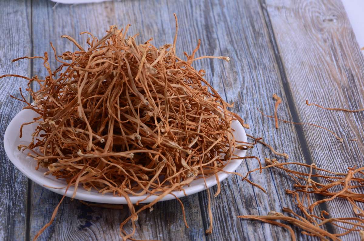 暨创硒源纳米硒栽培高腺苷富硒蛹虫草 助创行业新风口