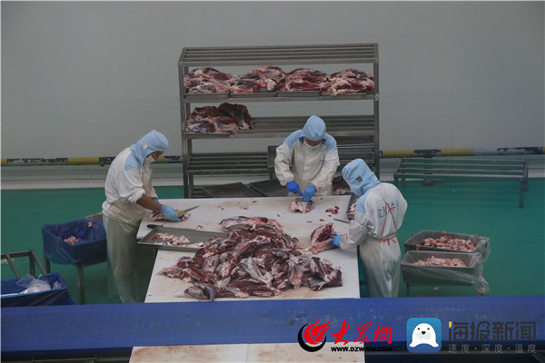 工作人员正在切割牛肉