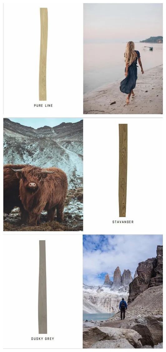 重磅重启!金钢铂林进口地板即将强势登陆DOMOTEX asia 2022深圳地材展