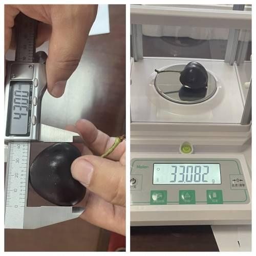 202302071121417ebaLj.jpeg 1.jpeg