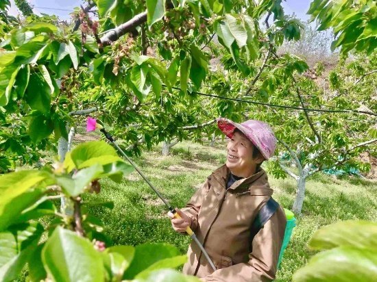 点击查看原始图片