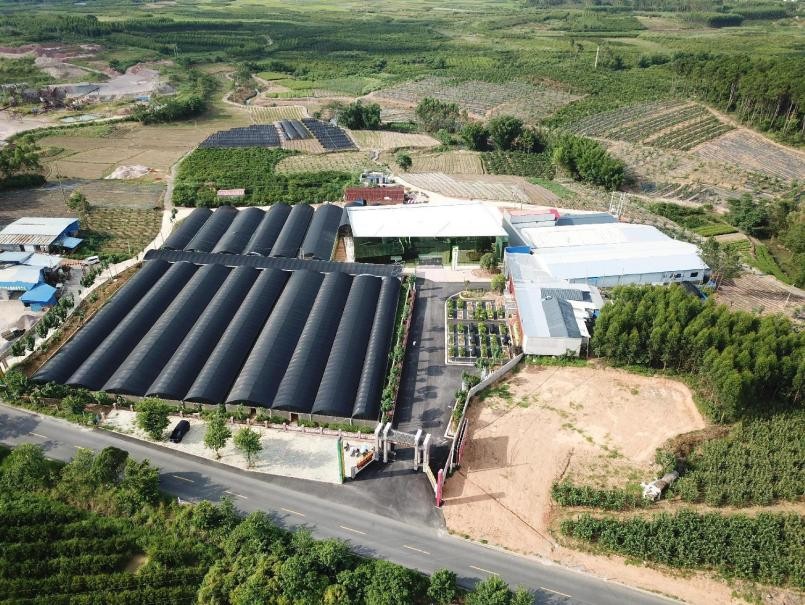 汇萃本草:汇集百种植萃,品质“瑶瑶”领先