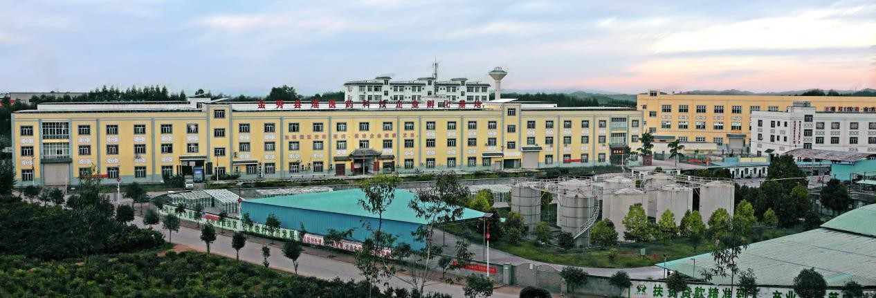 汇萃本草:汇集百种植萃,品质“瑶瑶”领先