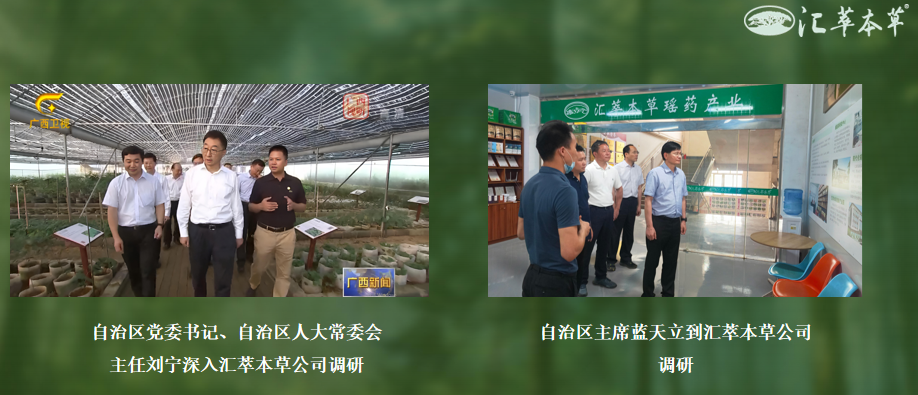 汇萃本草:汇集百种植萃,品质“瑶瑶”领先