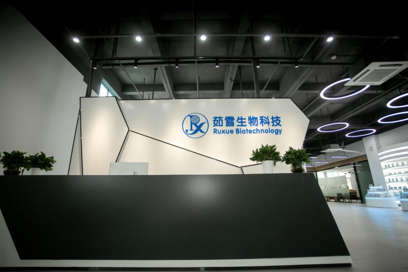 代工企业创新升级,广东茹雪实力强劲突出重围